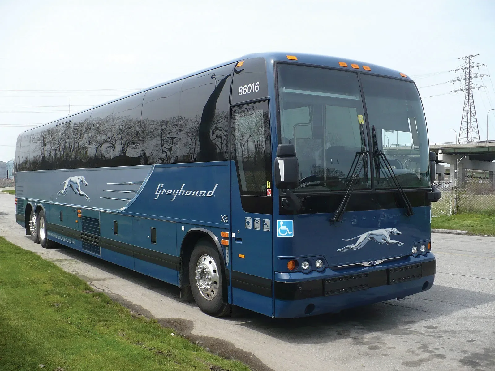 Affordable Field Trip Bus